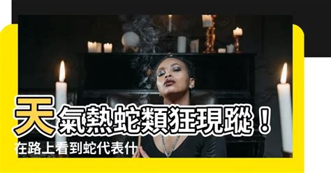 路上看到蛇代表什麼